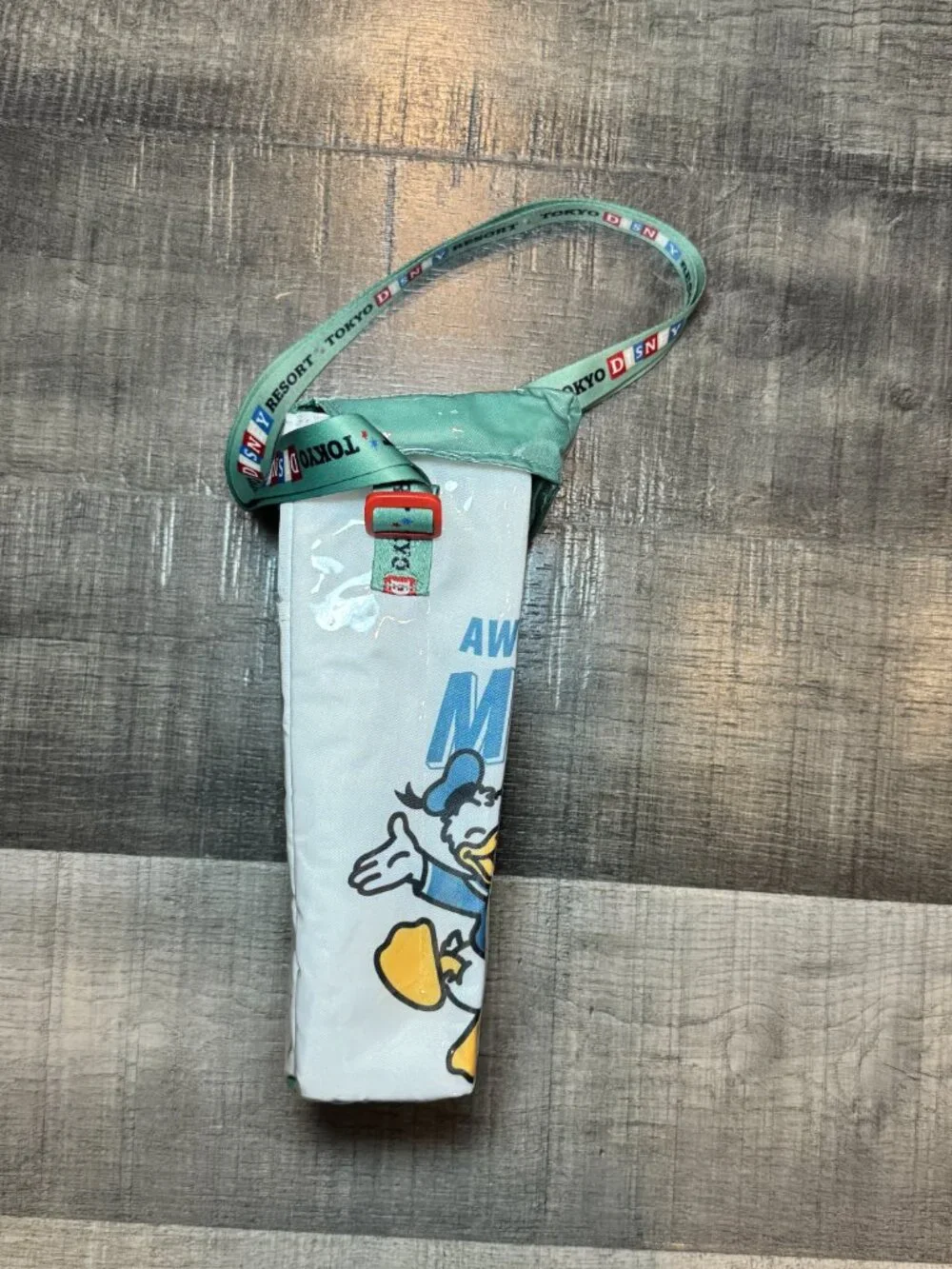 Tokyo Disneyland Resort Retro Popcorn Case Shoulder Bag My Pals
